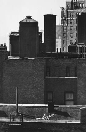 Untitled (woman sunbathing on roof reading)