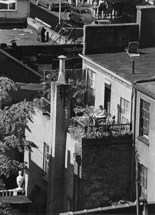 New York (man reading on roof garden)