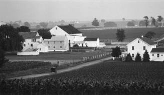 Open Buggy and Large Farm