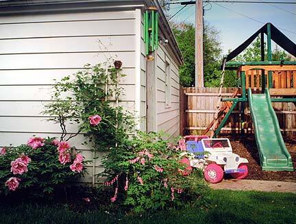 Bleeding Hearts & Barbie Jeep