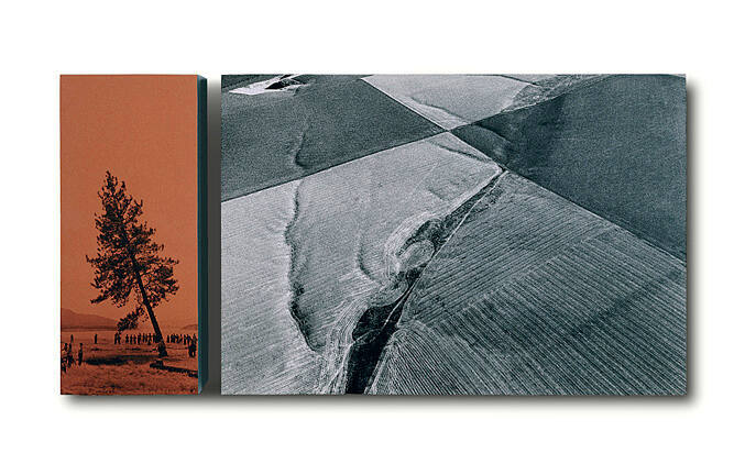 Last Tree/Cultivation, from the "High Water" series