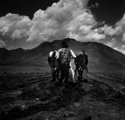 Campesino Plowing Field, Betanzos, Bolivia