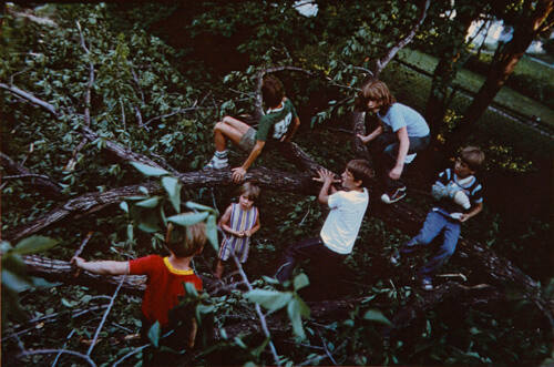 Untitled, from the "Children with Fallen Tree" series