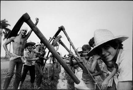 Field (boys with machetes, vertical)