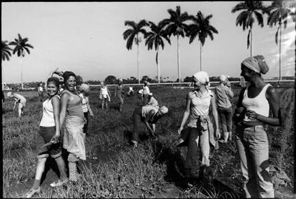 Field (girls dancing)