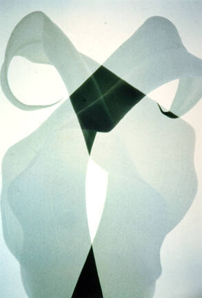 Calla #M 26, from the "Floral & Leaves" series