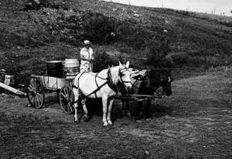 Mrs. Olie Thompson ready to drive home from the spring with barrels full of water.  Williams County, North Dakota