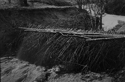 Erosion control on Coalins Forest and Game Reservation, between the rivers section of western Kentucky