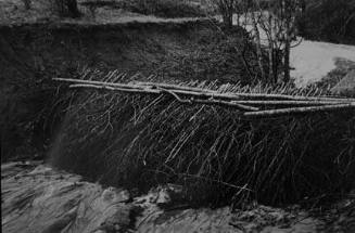 Erosion control on Coalins Forest and Game Reservation, between the rivers section of western Kentucky