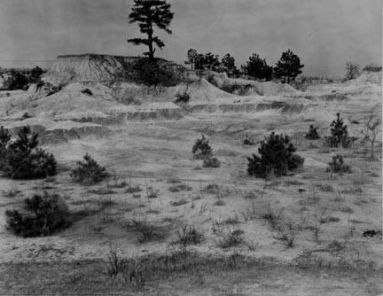 Erosion near Jackson, Mississippi