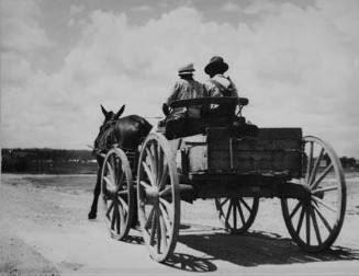 Transportation in the South. Mississippi