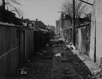 Slum alley in Washington, D.C.