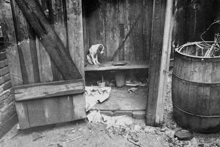 Typical slum privy. The only available water supply is usually nearby, Washington, D.C.