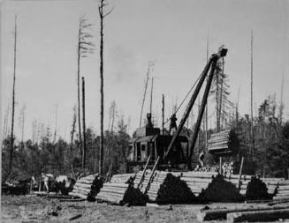 Loading logs onto railroad cars near Effie, Minnesota