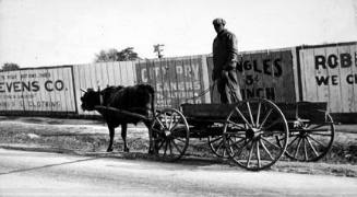 South Carolina Negro and Crude Ox-Drawn Wagon