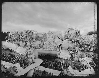 Group Portrait, from the "Recycled Realities" series