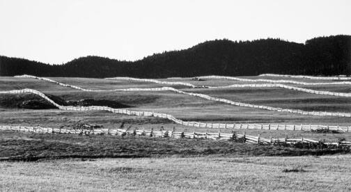 Farmland Near St. Fabien Rimouski County, Quebec, Canada