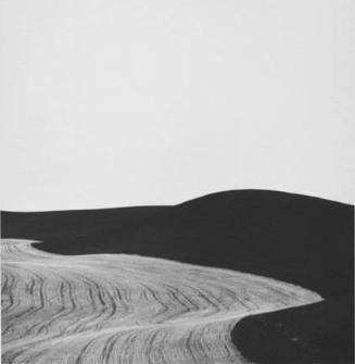 Wheat Fields.  Whitman County, Washington