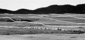 Fences Near Rimouski, Quebec