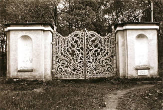 Untitled (iron gate in woods)