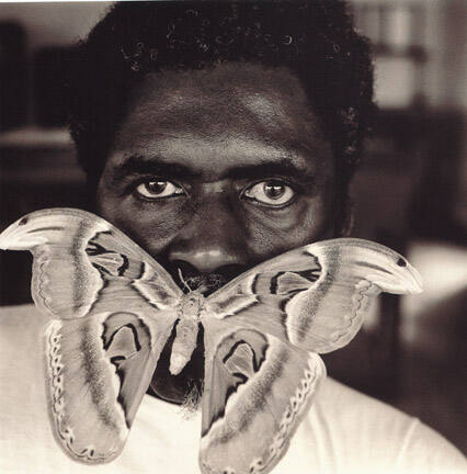 Atlas Moth