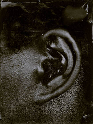 Untitled (right ear shredded side), from the Character Recognition series