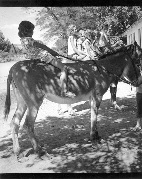 Horseplay, Gunlock, Utah