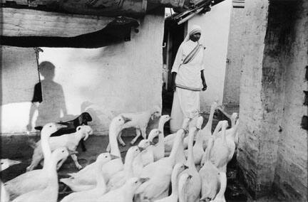 Shadow of a Boy on a Wall - Shanti Nagar Leprosy Hospital - Mother Teresa's Missions of Charity - Bengal, India