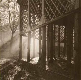 Untitled (sunlight through lattice)