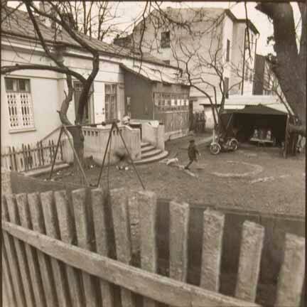 Chernovitz (boy in backyard)