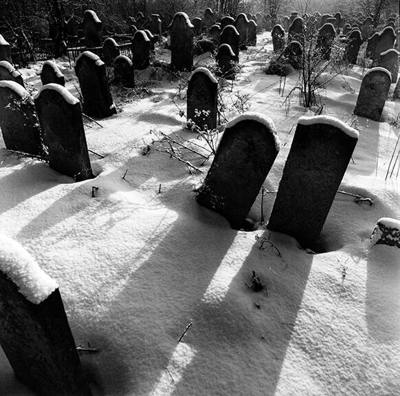 Chernovitsy (snowy sunlit gravestones)