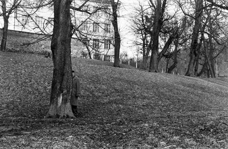 Lvov (man behind tree)