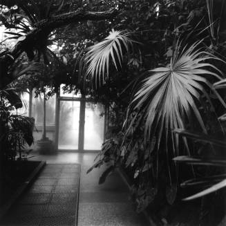 Glasshouse, Jardin Botanico, Madrid