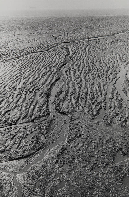 Tide Plain, Black Pool England