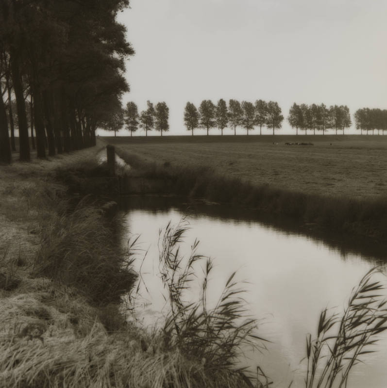 Canal, Hoorn to Alkmaar Road, North Holland, The Netherlands