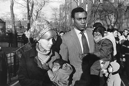 Central Park Zoo, New York City, from the Fifteen Photographs portfolio