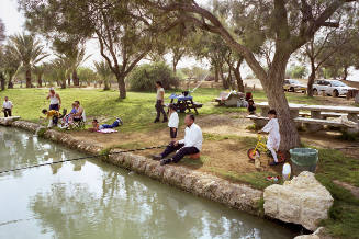 Eshkol Park, from the "Leisure Time in Israel" series