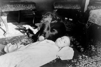 Poppy and Barkley Under the Dining Room Table, Chicago, from Changing Chicago