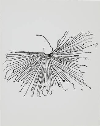 To Make a Quipu