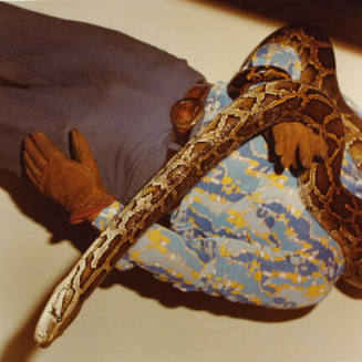 Untitled (Snake Handler)