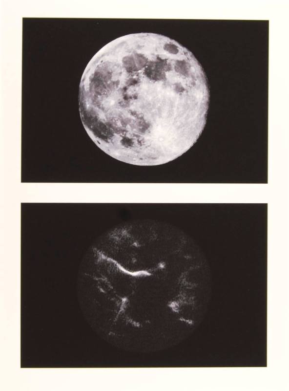 Moon Root (video stills, pair 1), Seattle, from The Great Northwest Portfolio