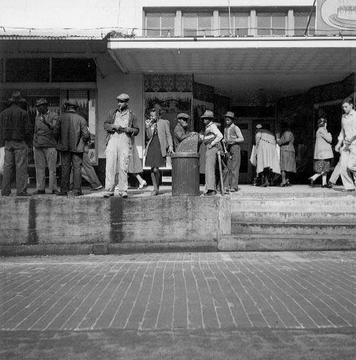 Negroes at Tallahassee