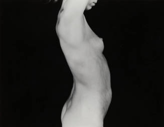 Untitled (female nude)