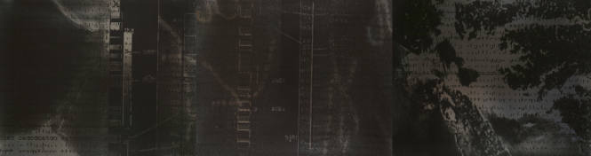 Untitled (triptych)