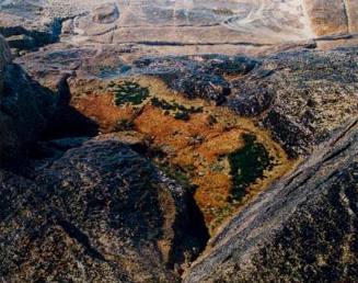 Untitled (rock formation with algae)