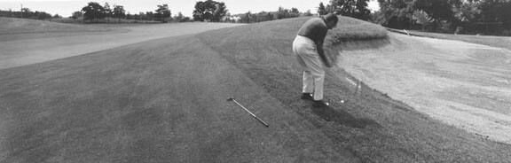 Golfer, Bloomfield, Michigan