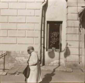 St. Petersburg (woman by window/plant)