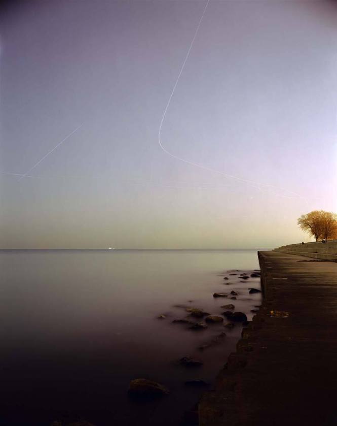 Belmont Harbor (Amber Tree)