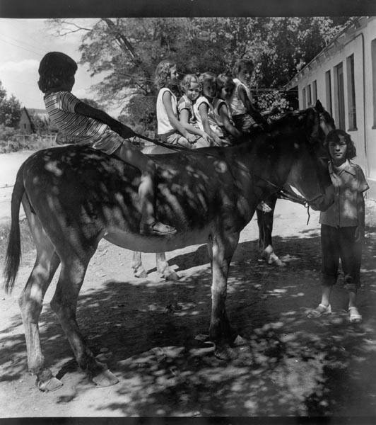 Horseplay, Gunlock, Utah