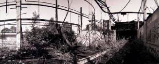 Abandoned Factory, Strehlener Strasse, from the "Dresden Reliquary: Past into Present" series